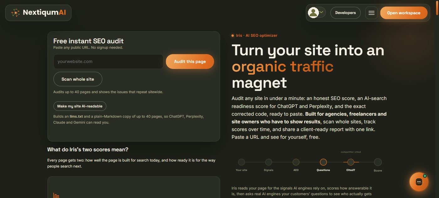 The Iris page with the free audit box: paste a URL, Audit this page, Scan whole site, Make my site AI-readable